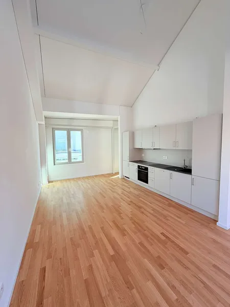 2 Zimmer - Sheddachhalle — photo 1
